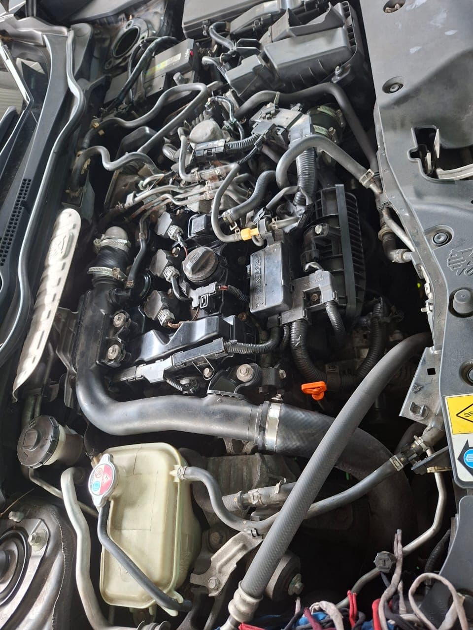 Transmission Service